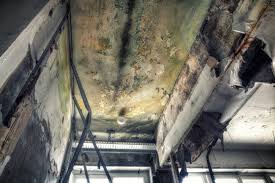 Best Asbestos and Lead Testing During Mold Inspection  in Piketon, OH